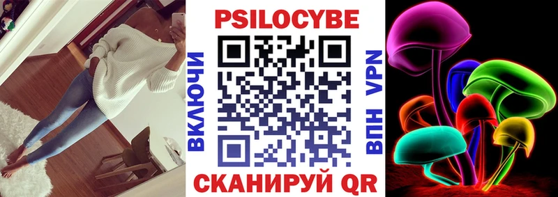 omg зеркало  где купить   Гудермес  Псилоцибиновые грибы Psilocybe 