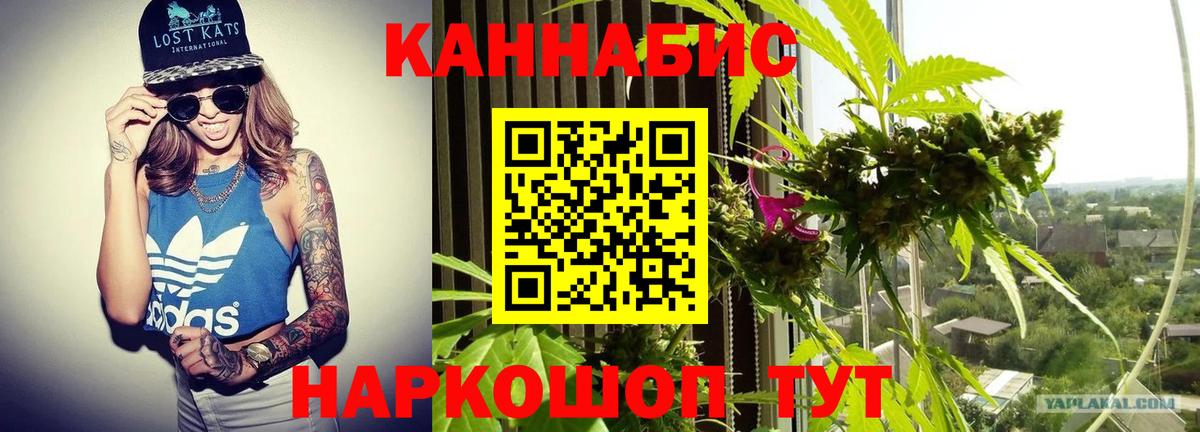 Гудермес  Канабис план  Вход с VPN  Бошки марихуана сатива  Канабис MAZAR 